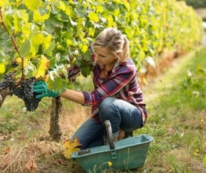 Femme agricultrice, je suis là pour vous aider