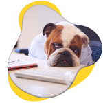 Gestion administrative des ressources humaines
