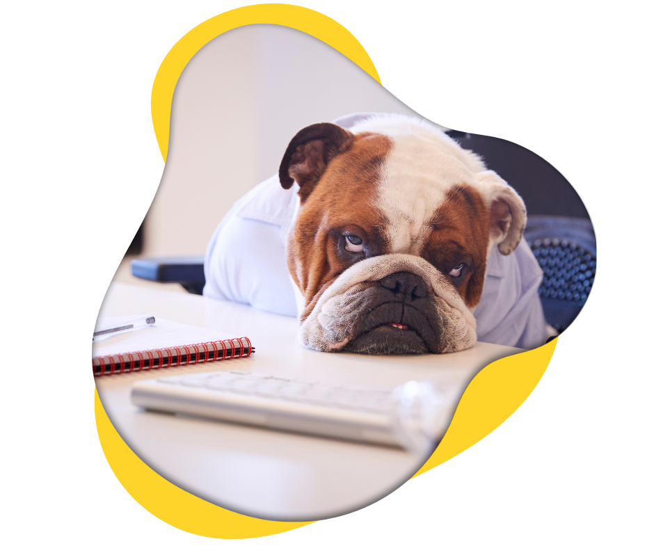Gestion administrative des ressources humaines